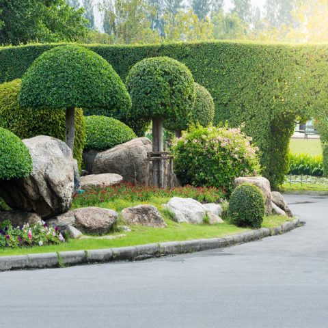 Communal Garden